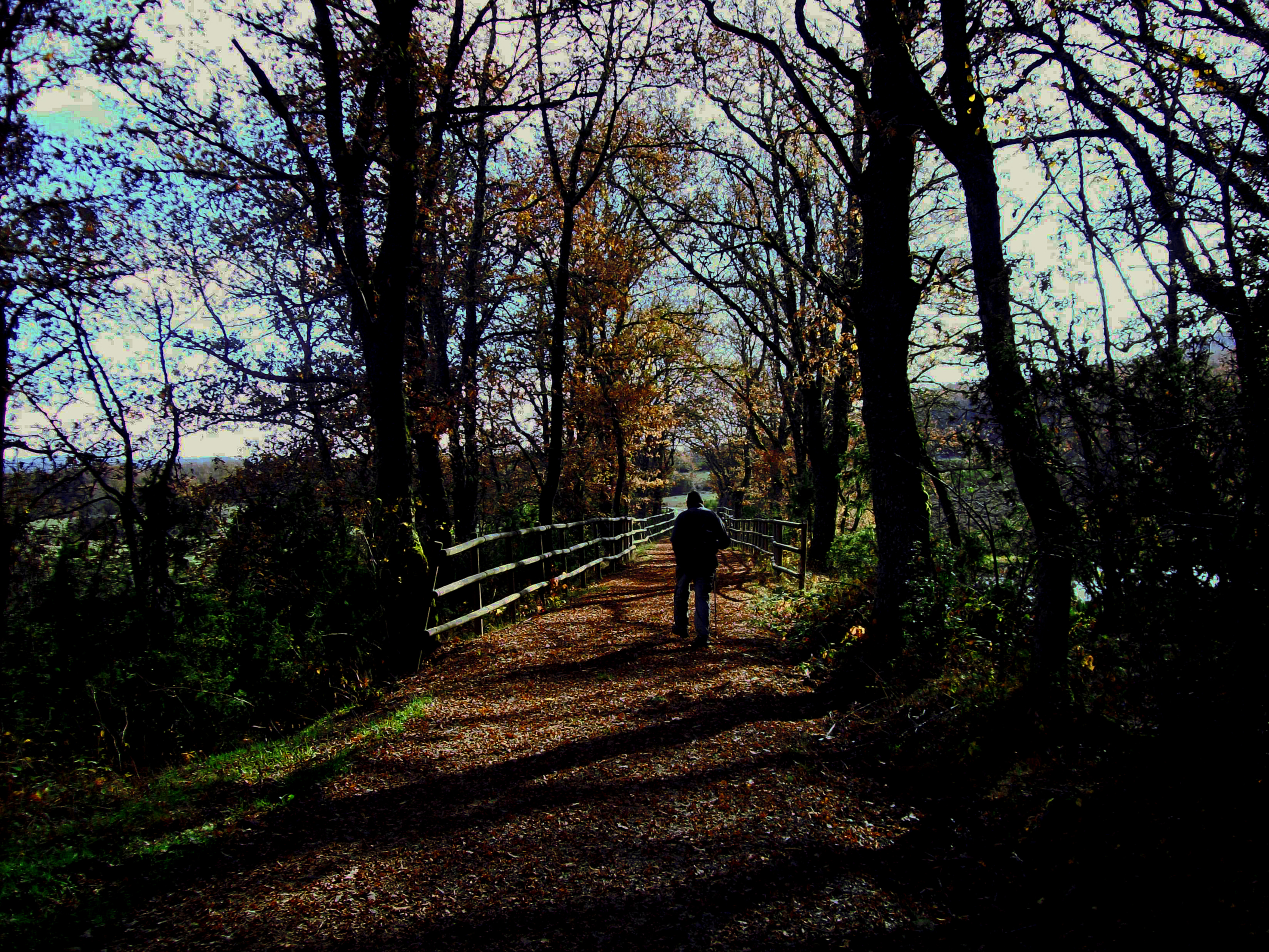 Caminante